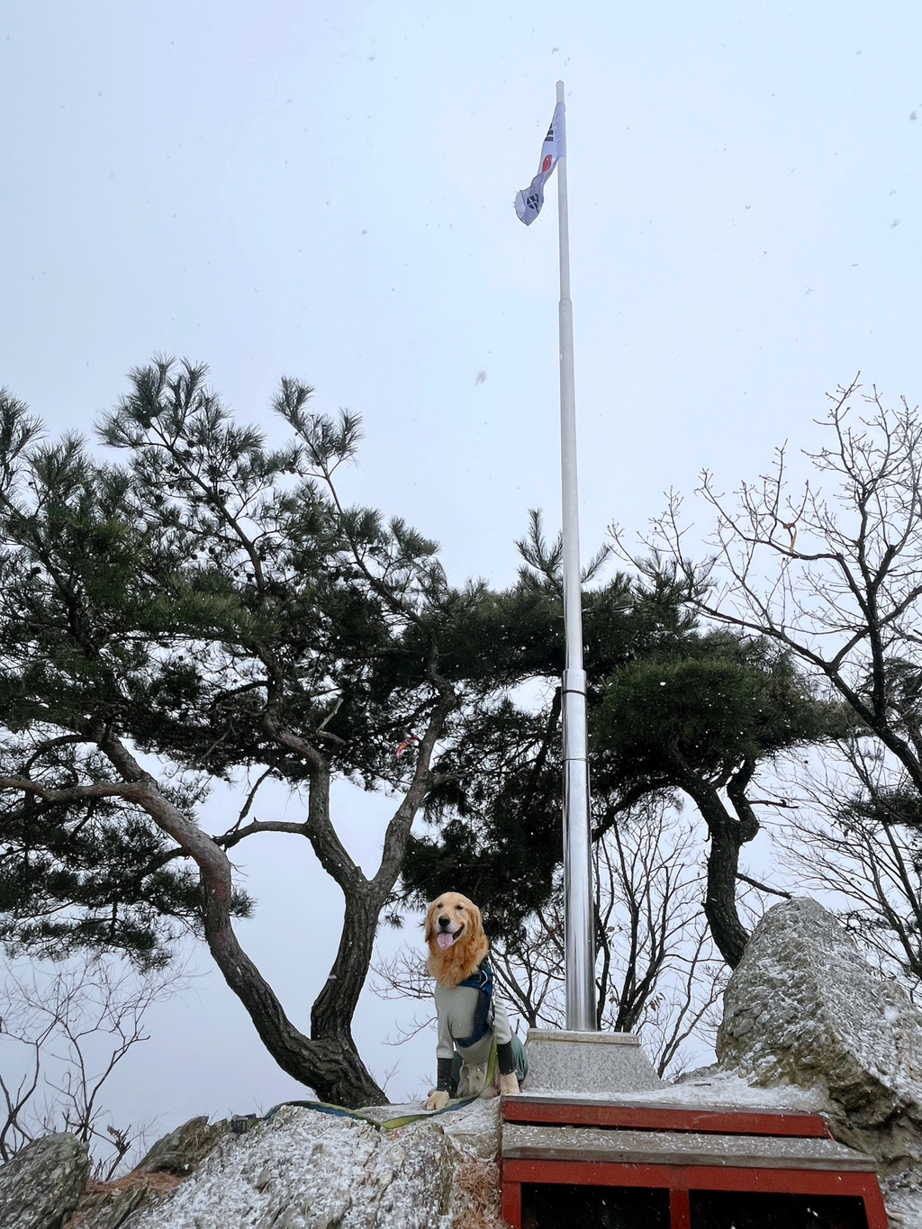 울강쥐-등산천재야-(+-산-추가!)-24-이미지