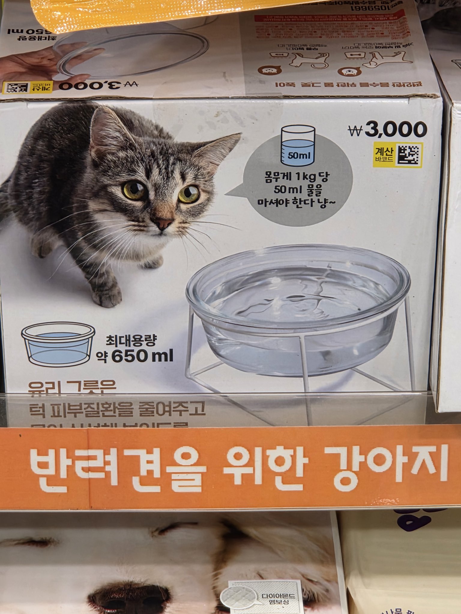 다이소에-고양이,-강아지-물그릇-나온거-알고-계시나요....-1-이미지