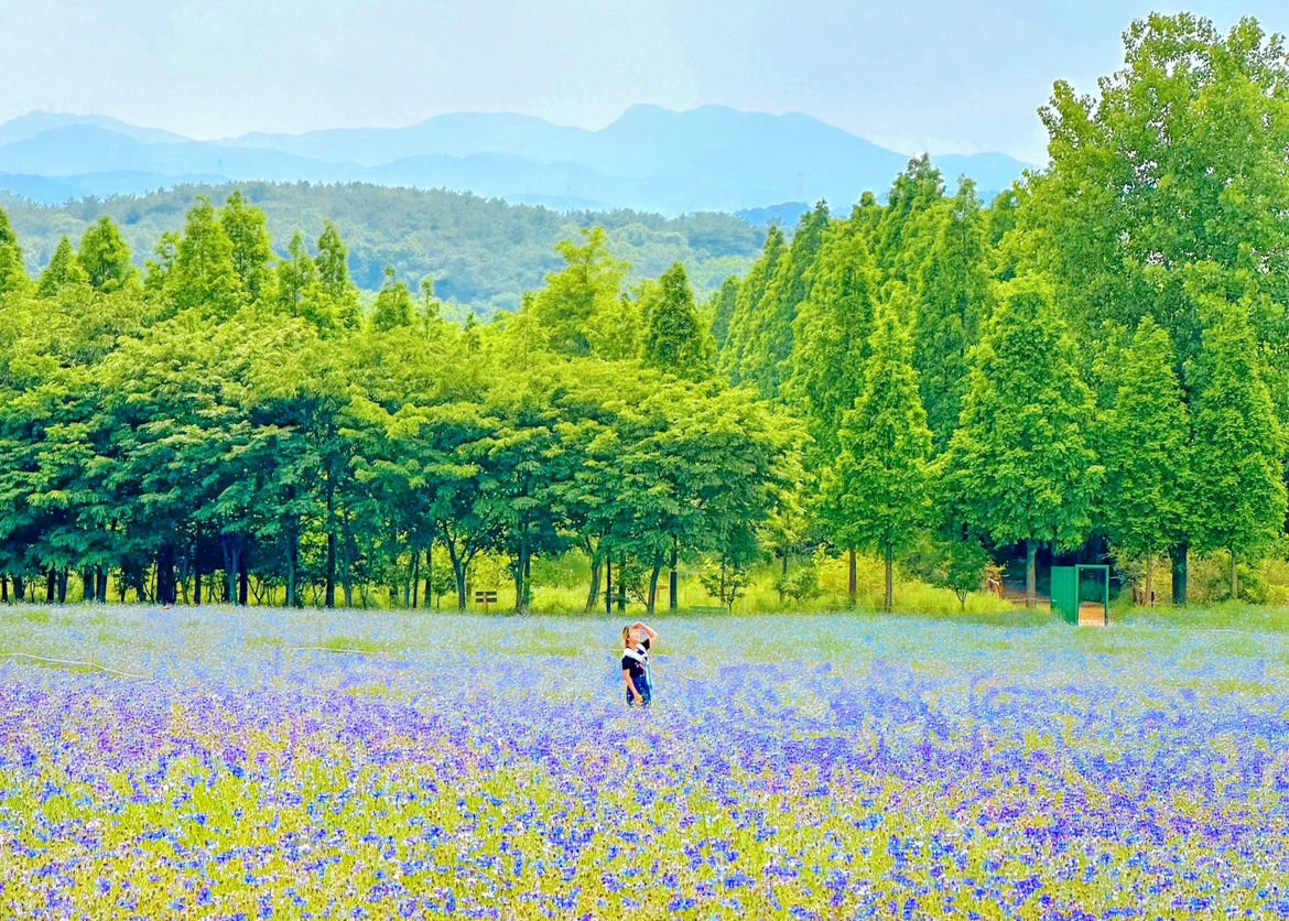 이-계정-운영자님은-진짜-직업-잘-고르신-거-같음-한국에-이런-데가-있다고-짤을-주머니에서-마구-꺼냄-44-이미지