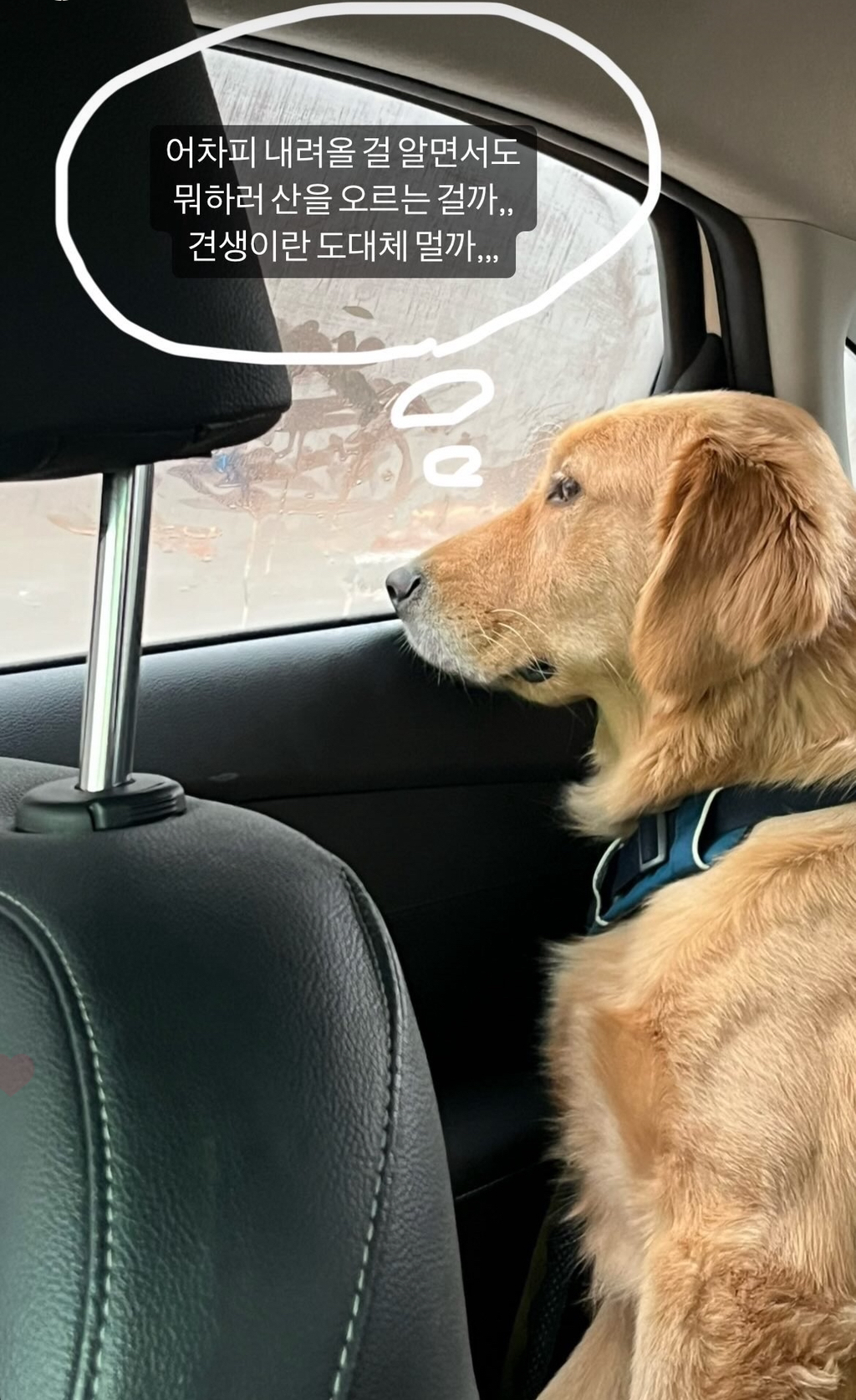 울강쥐-등산천재야-(+-산-추가!)-29-이미지