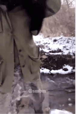 아기곰-기다려야-한다고-소리치는-엄마곰-1-이미지