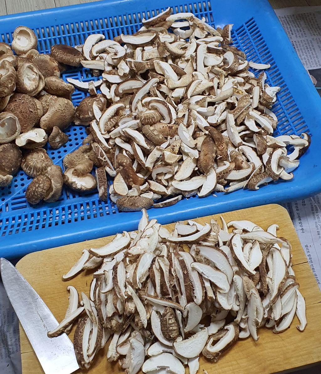 손-큰-거-어떻게-고치는데...-34-이미지