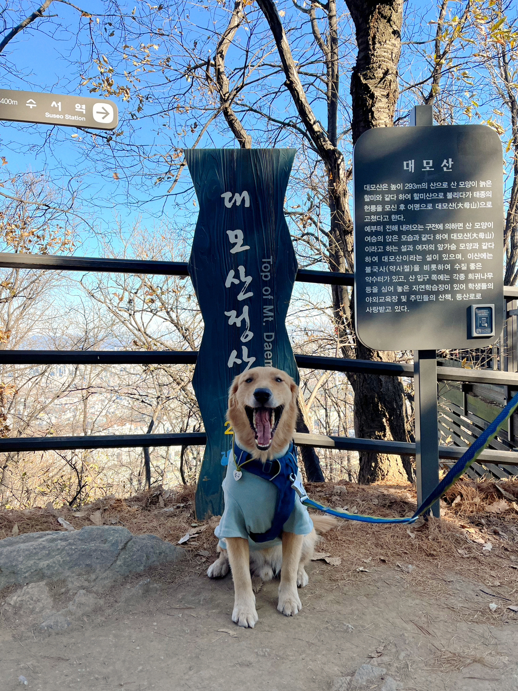 울강쥐-등산천재야-(+-산-추가!)-6-이미지