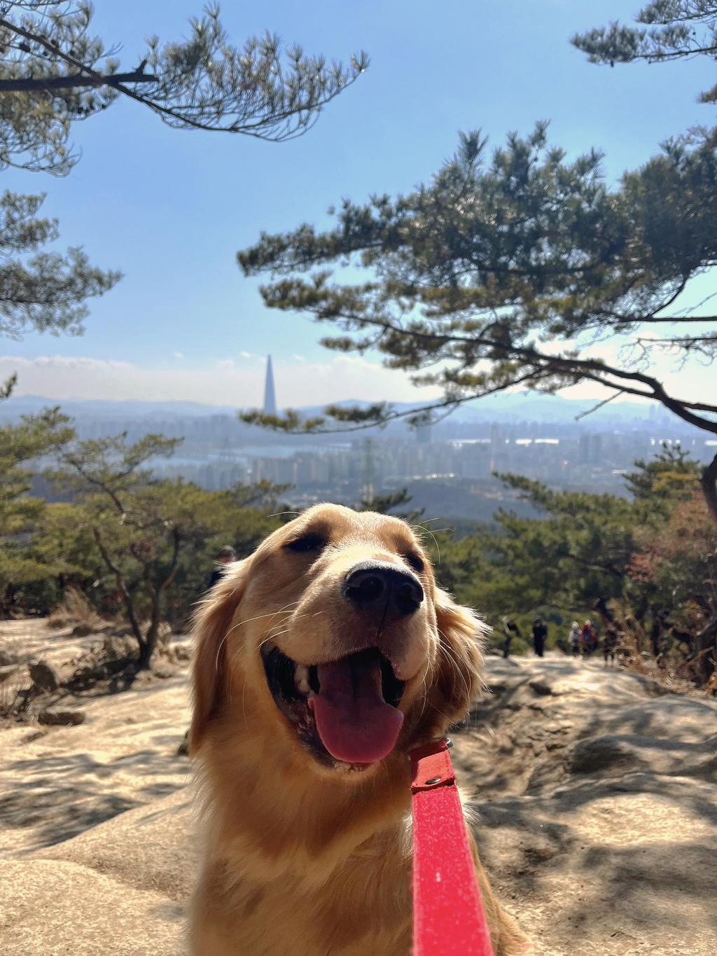 울강쥐-등산천재야-(+-산-추가!)-8-이미지