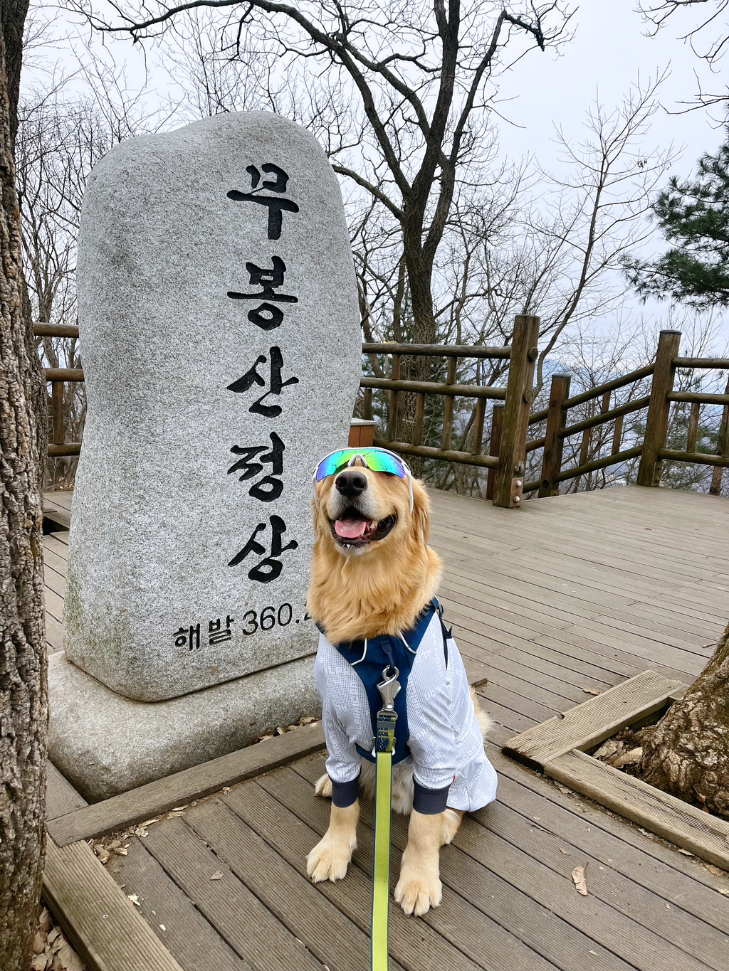 울강쥐-등산천재야-(+-산-추가!)-11-이미지