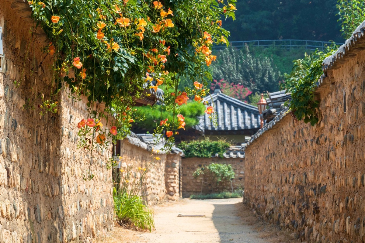 이-계정-운영자님은-진짜-직업-잘-고르신-거-같음-한국에-이런-데가-있다고-짤을-주머니에서-마구-꺼냄-5-이미지