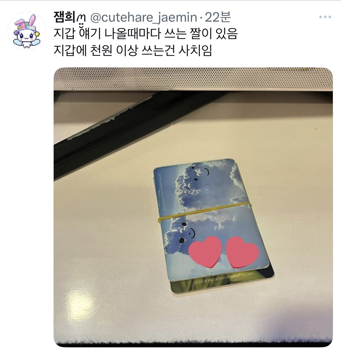 원래-사회초년생이-이런-지갑쓰고-어느정도-벌면-다이소지갑-씀.twt-7-이미지