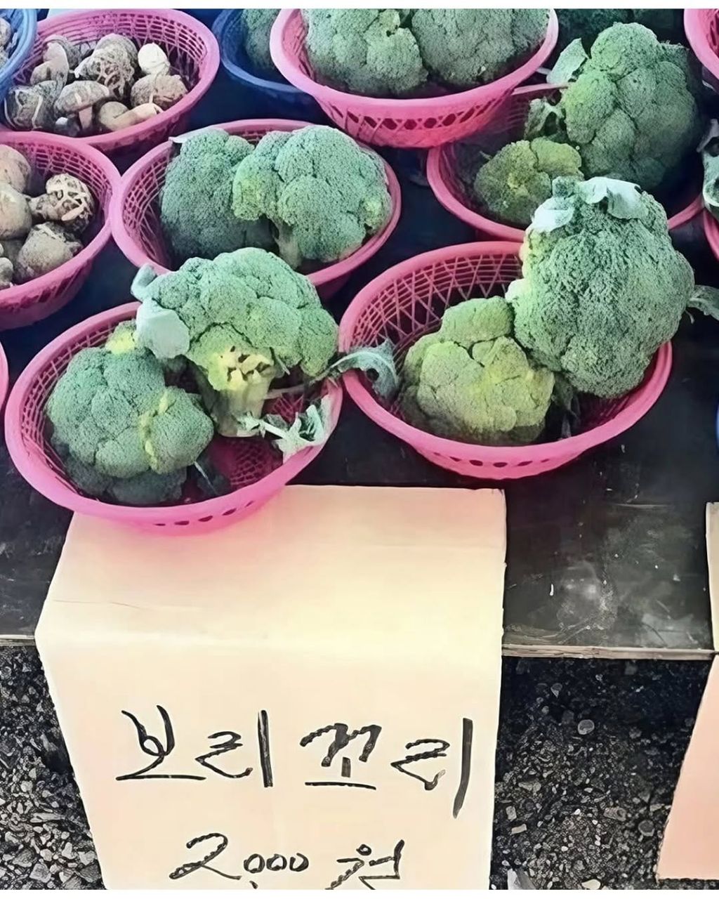 없는게-없는-시골장-9-이미지