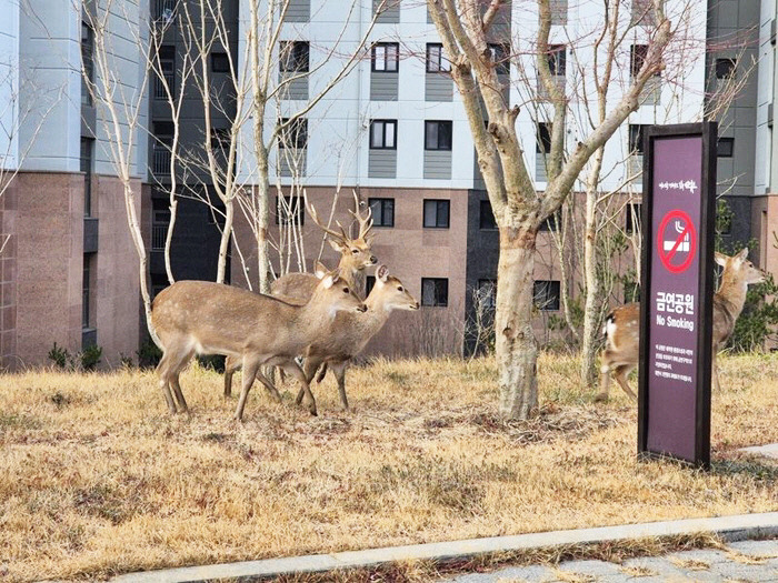 좋은-일을-해서-축복-받은-듯한-도시.jpg-19-이미지