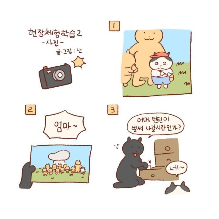 귀엽고-힐링되고-눈물나는-고양이만화-38-이미지
