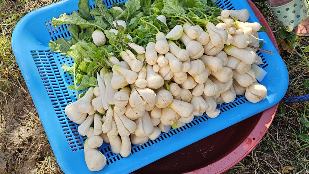 손-큰-거-어떻게-고치는데...-5-이미지