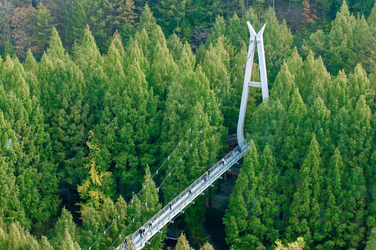 이-계정-운영자님은-진짜-직업-잘-고르신-거-같음-한국에-이런-데가-있다고-짤을-주머니에서-마구-꺼냄-41-이미지