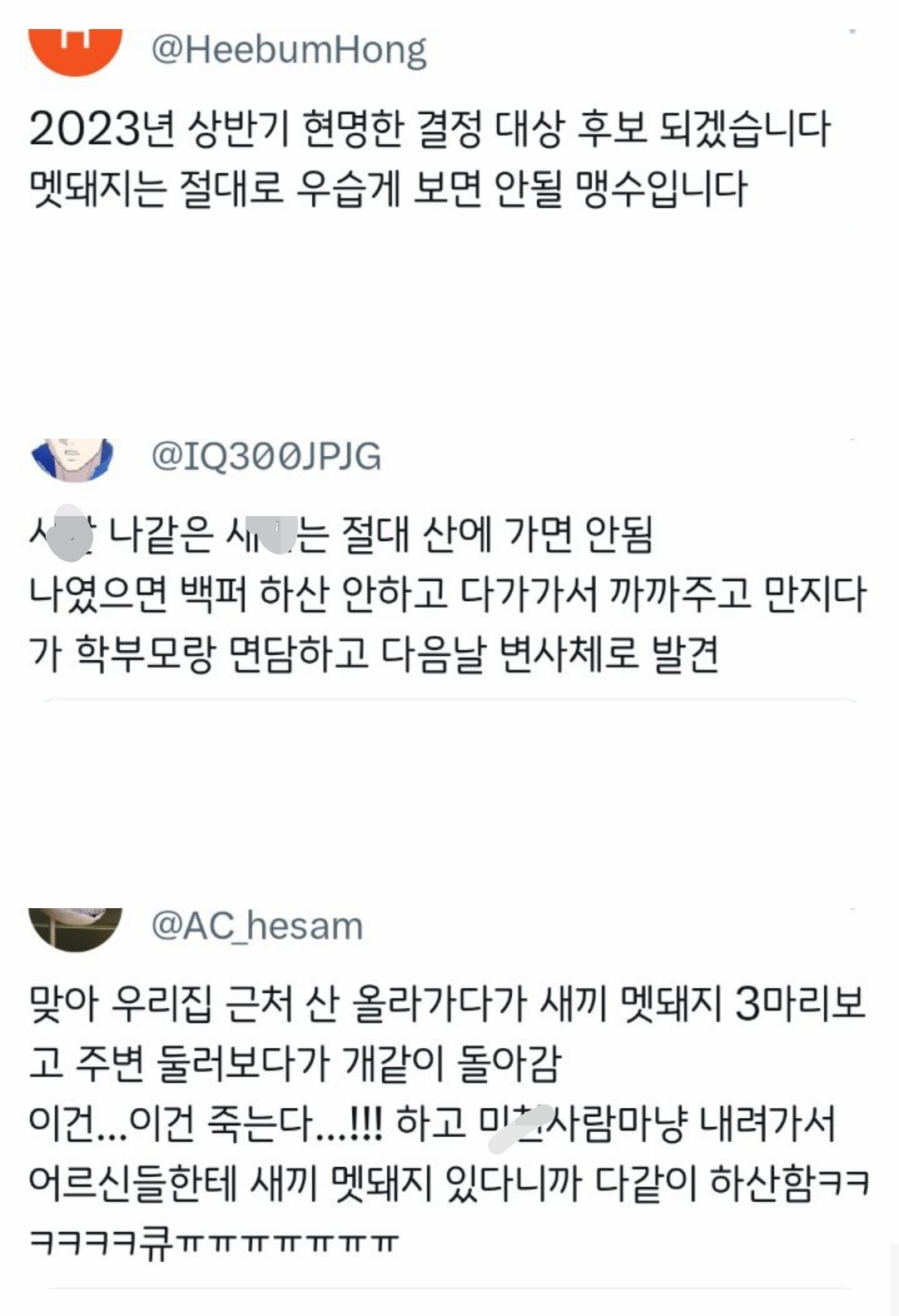 등산하다가-새끼-멧돼지-발견함;;-2-이미지