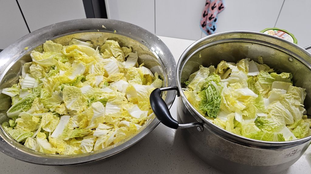 손-큰-거-어떻게-고치는데...-16-이미지