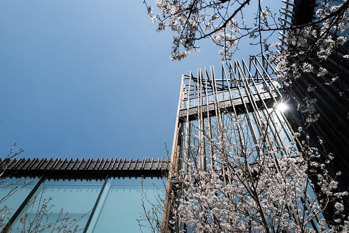 뉴질랜드-사업가가-서울-한남동에-지은-집-9-이미지