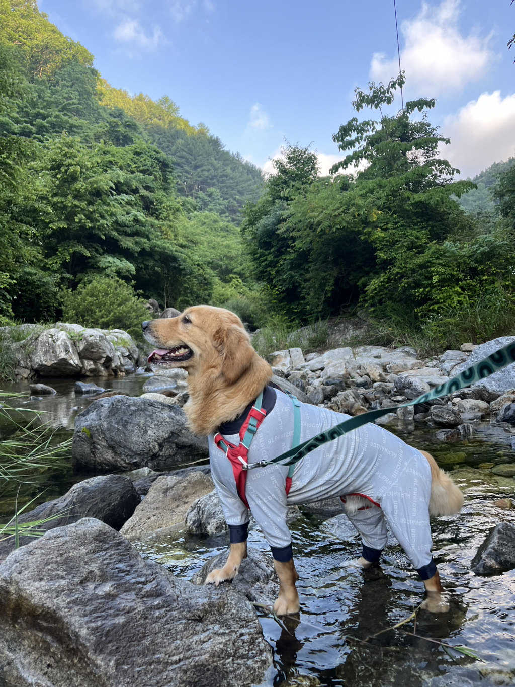 울강쥐-등산천재야-(+-산-추가!)-15-이미지