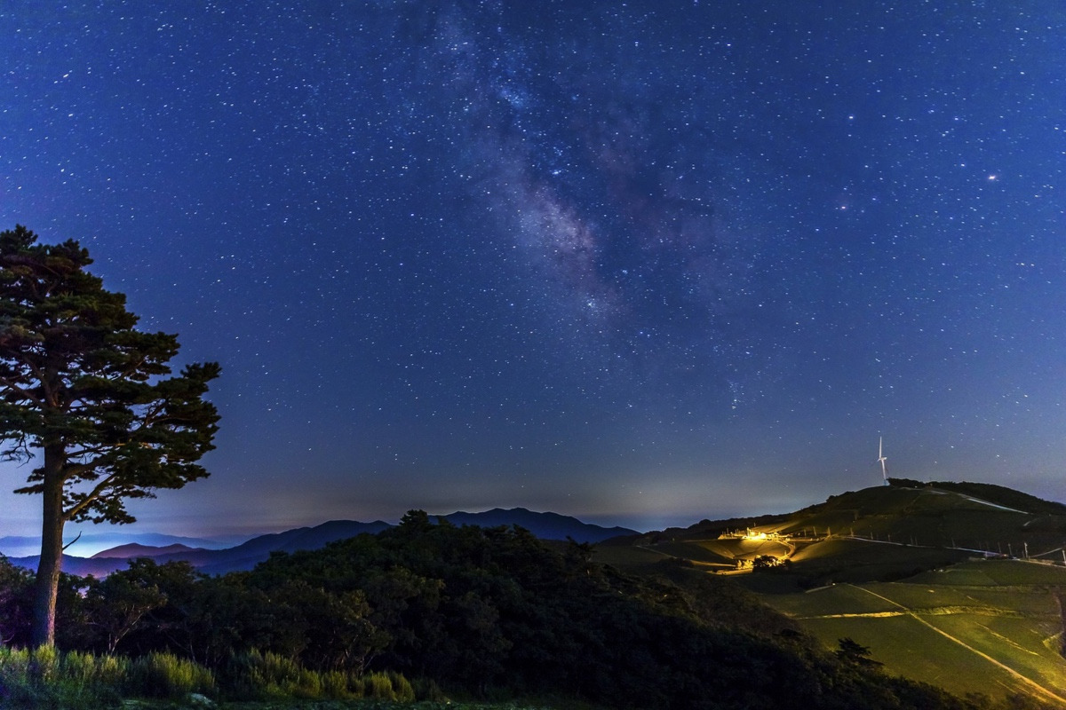 이-계정-운영자님은-진짜-직업-잘-고르신-거-같음-한국에-이런-데가-있다고-짤을-주머니에서-마구-꺼냄-34-이미지