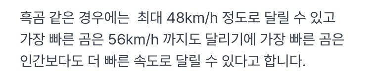 산에서-곰을-만나면-답-없는-이유-6-이미지