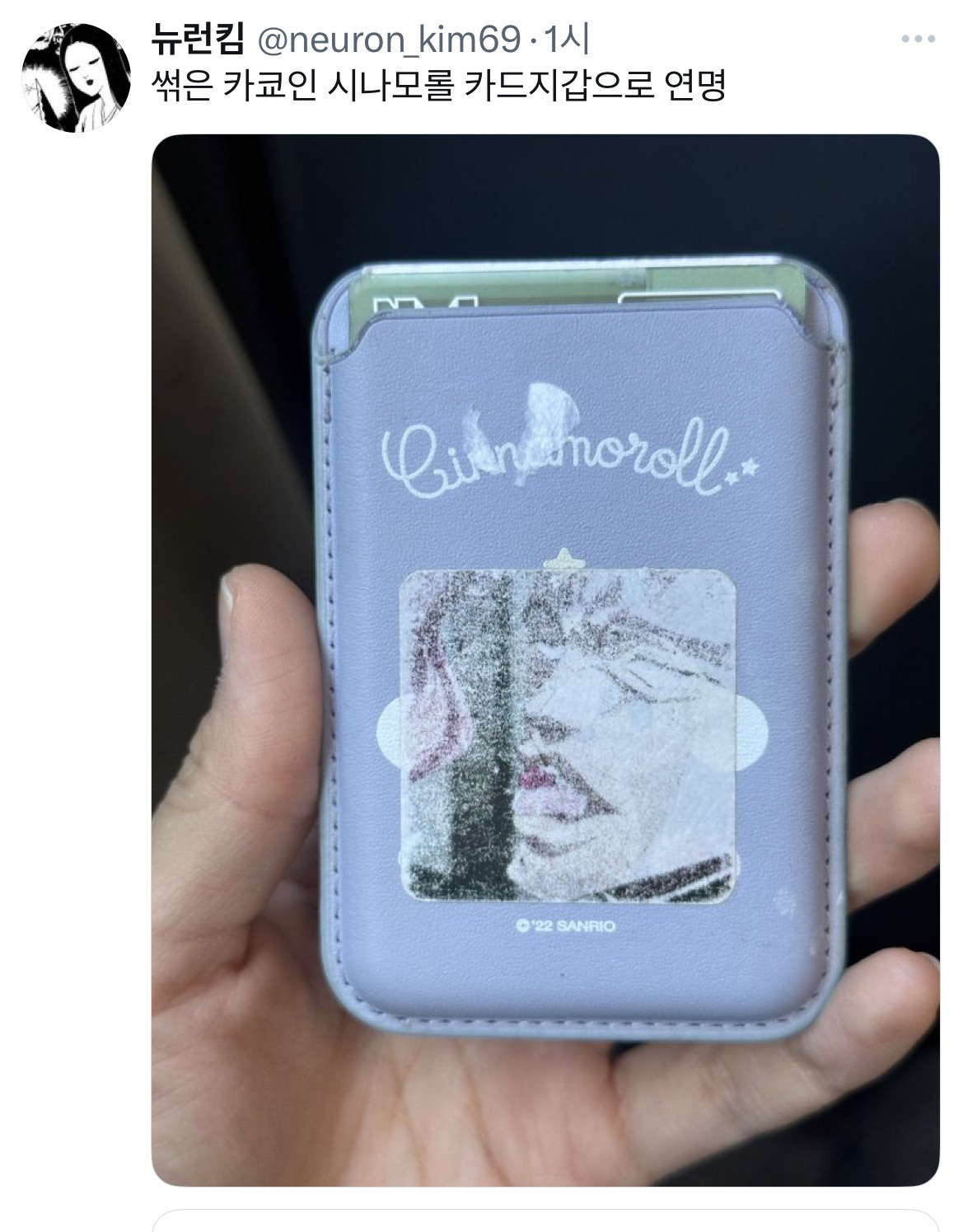 원래-사회초년생이-이런-지갑쓰고-어느정도-벌면-다이소지갑-씀.twt-9-이미지