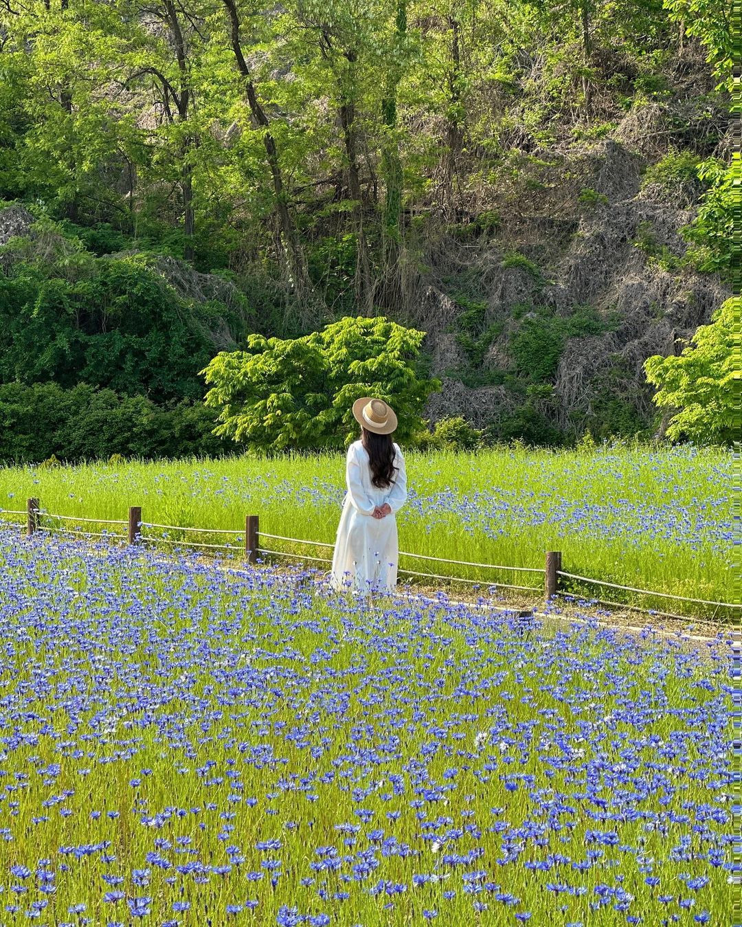 이-계정-운영자님은-진짜-직업-잘-고르신-거-같음-한국에-이런-데가-있다고-짤을-주머니에서-마구-꺼냄-17-이미지