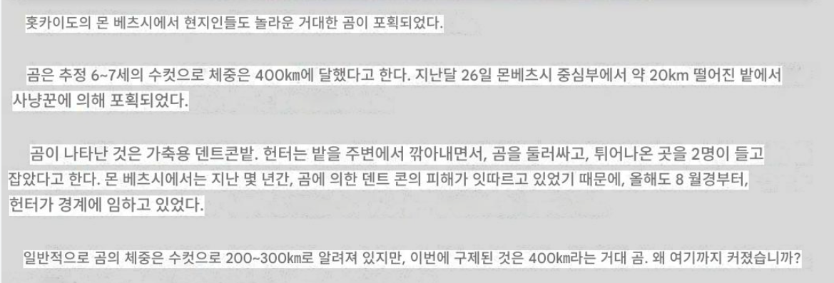 일본에서-잡힌-400kg-왕곰-2-이미지