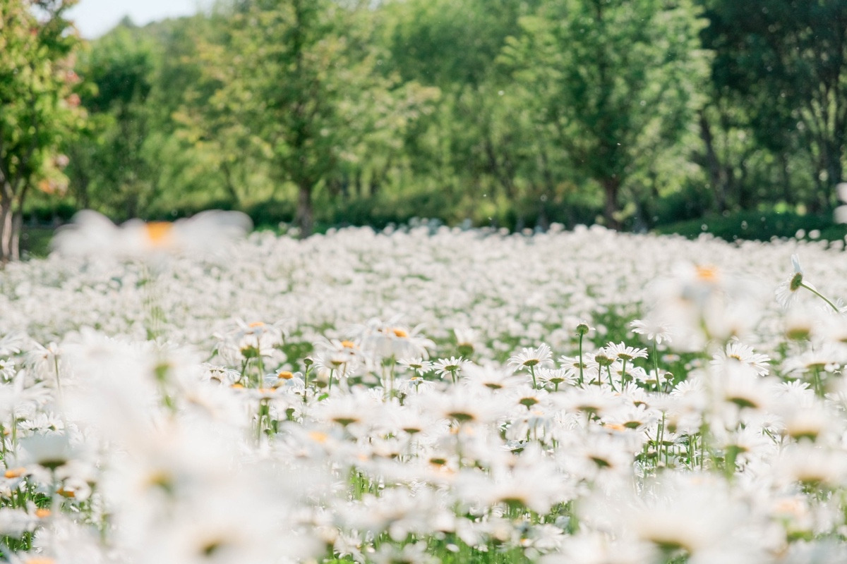 이-계정-운영자님은-진짜-직업-잘-고르신-거-같음-한국에-이런-데가-있다고-짤을-주머니에서-마구-꺼냄-22-이미지