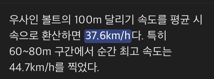 산에서-곰을-만나면-답-없는-이유-7-이미지