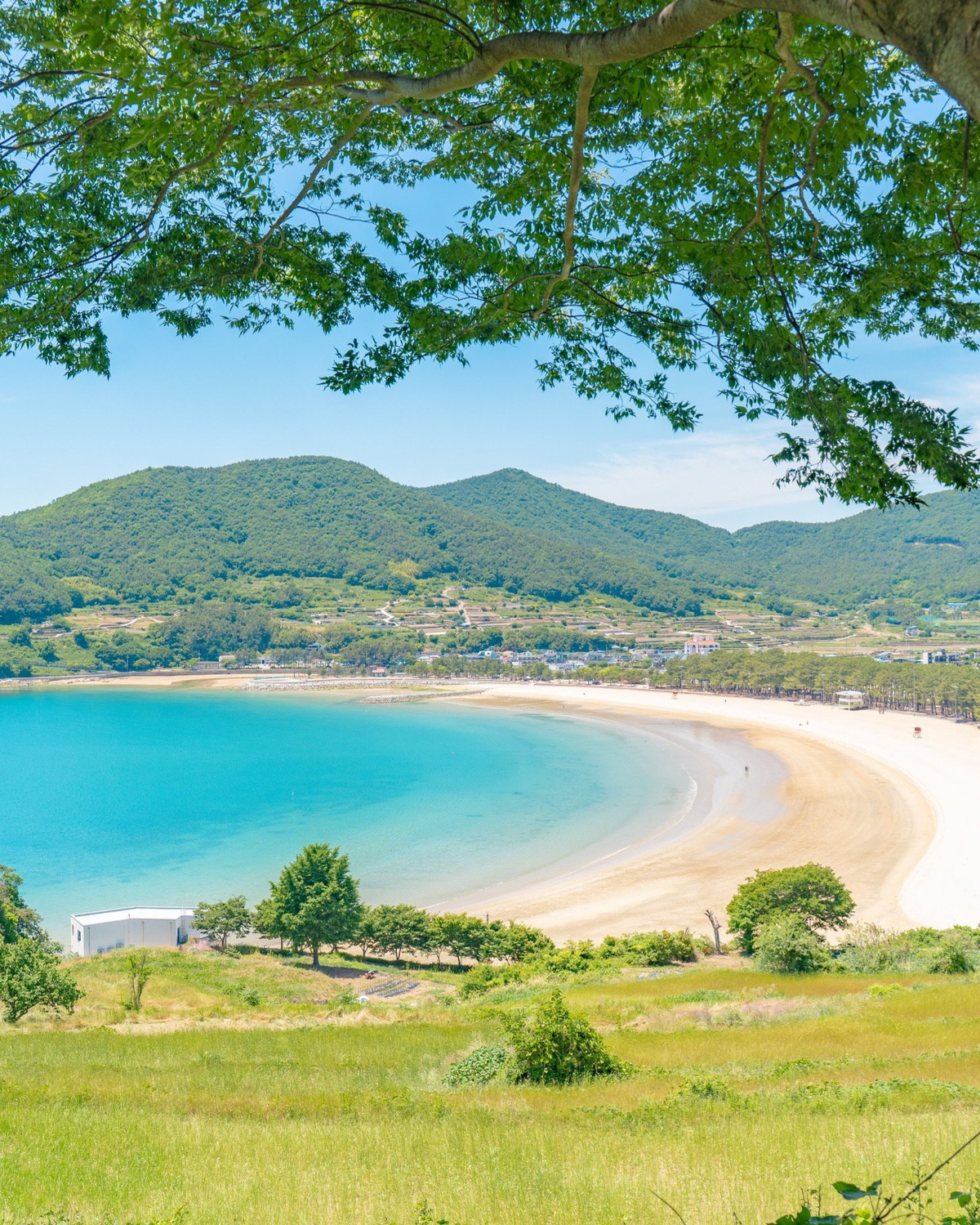 이-계정-운영자님은-진짜-직업-잘-고르신-거-같음-한국에-이런-데가-있다고-짤을-주머니에서-마구-꺼냄-37-이미지