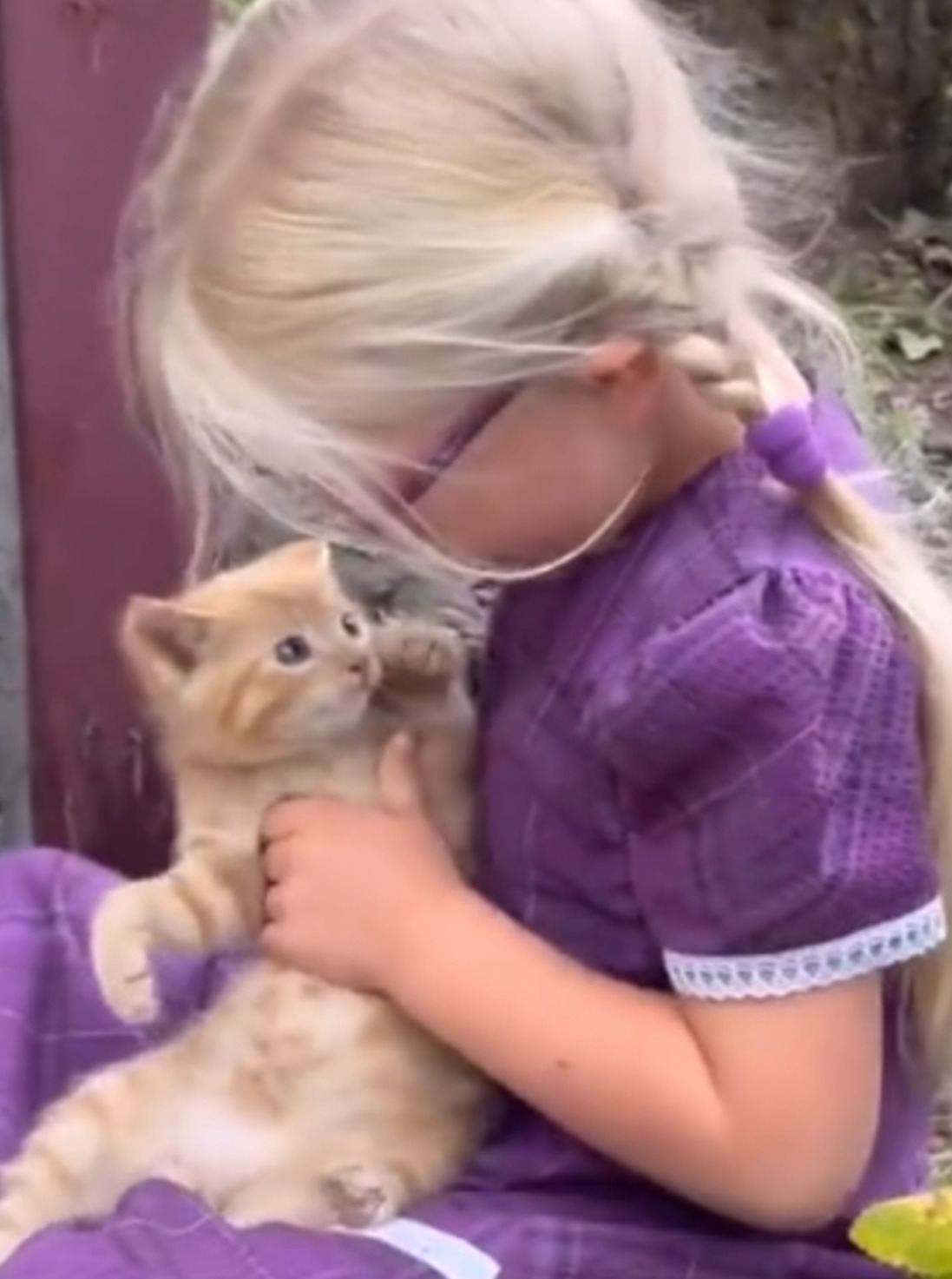 새끼-보여주러온-길냥이-1-이미지