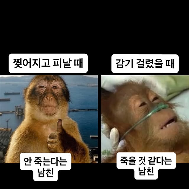 남친-특-2-이미지