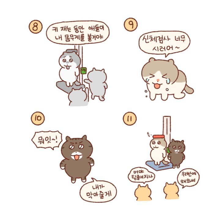 귀엽고-힐링되고-눈물나는-고양이만화-2-이미지