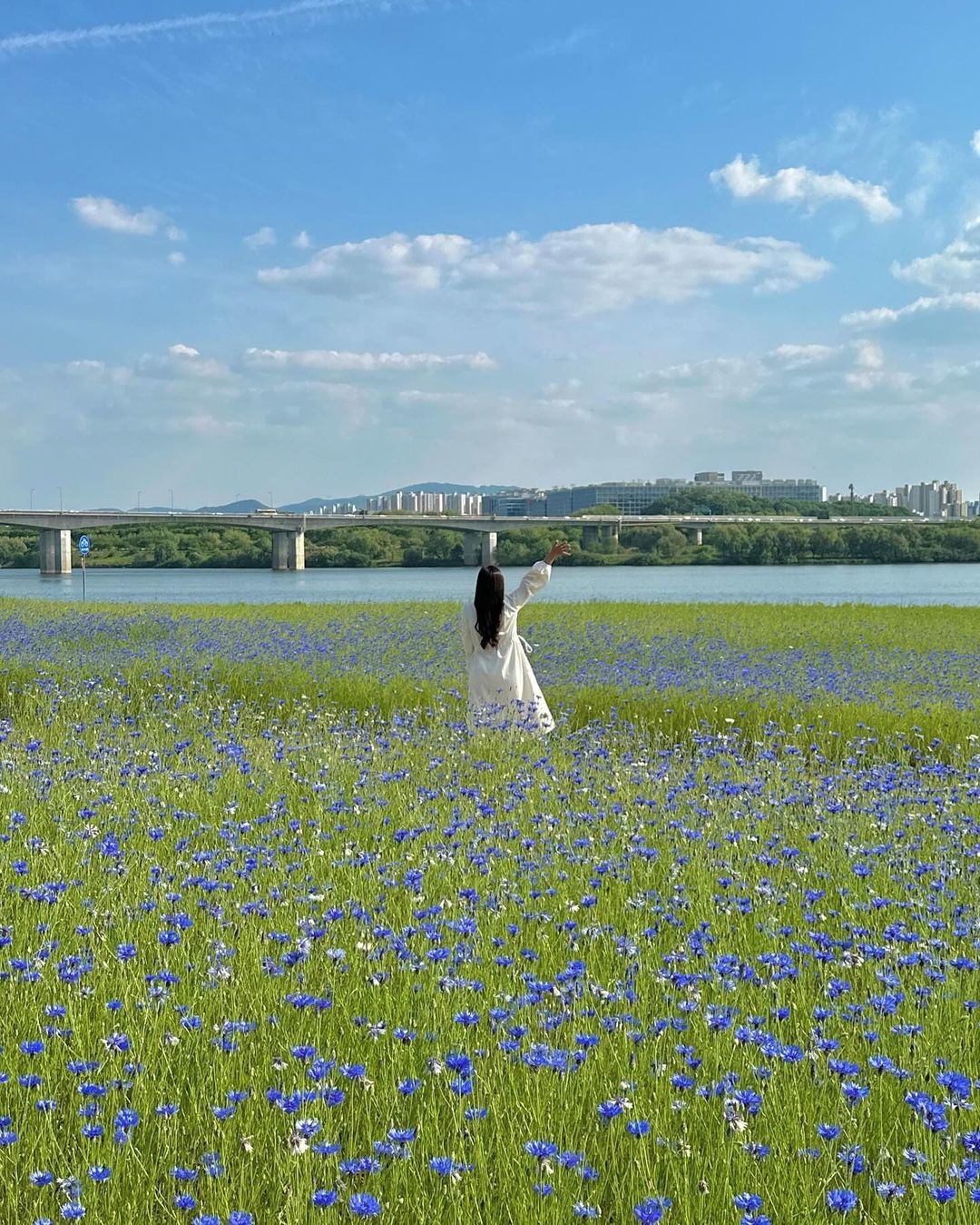 이-계정-운영자님은-진짜-직업-잘-고르신-거-같음-한국에-이런-데가-있다고-짤을-주머니에서-마구-꺼냄-15-이미지