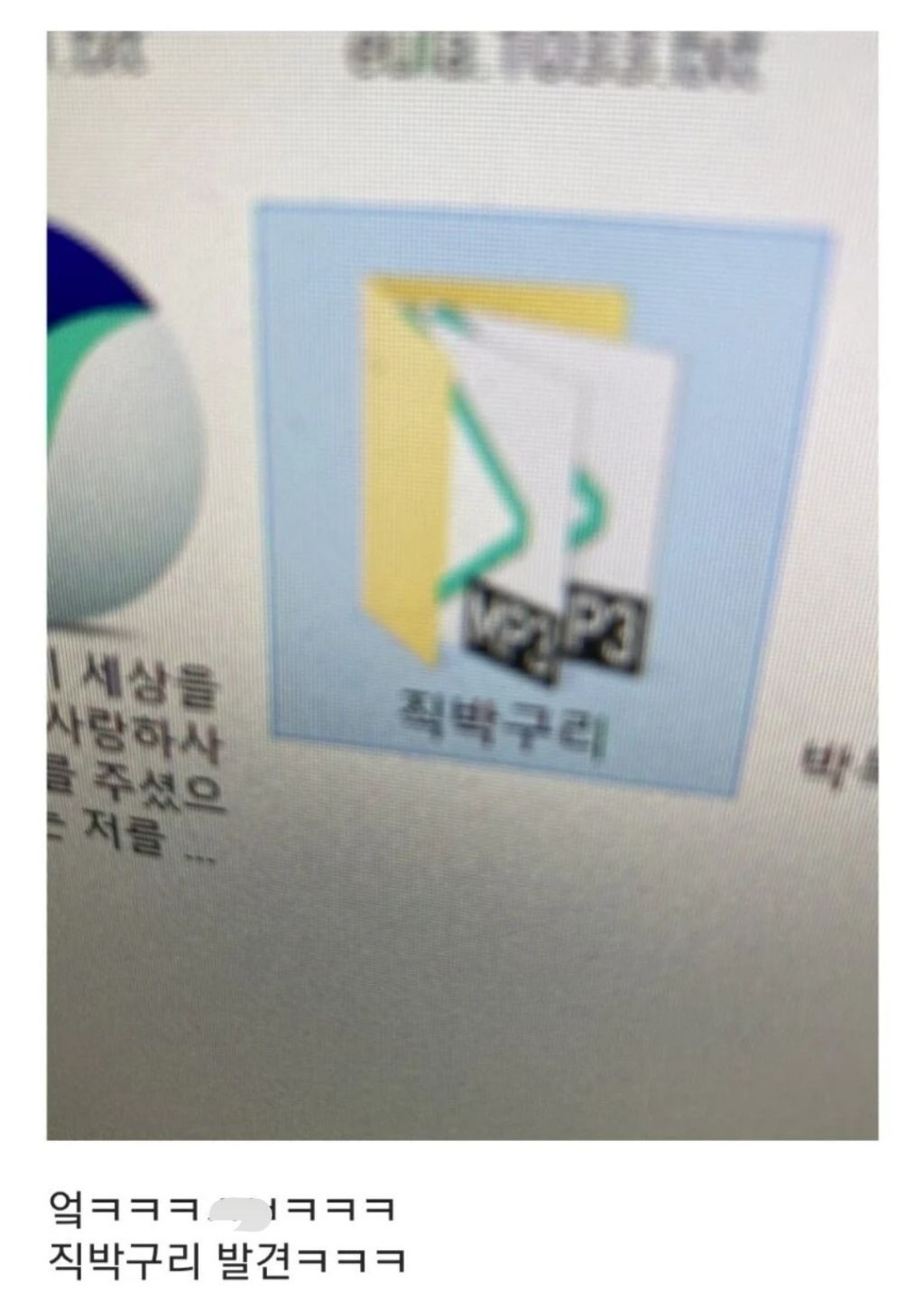 성스러운-직박구리-폴더-3-이미지