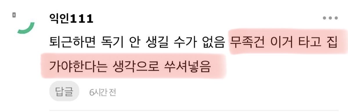 서울-지옥철-경험했는데,-서울-사람들-ㄹㅇ독기-가득하네-2-이미지