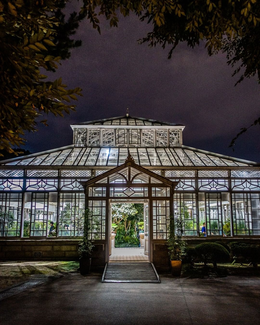 이-계정-운영자님은-진짜-직업-잘-고르신-거-같음-한국에-이런-데가-있다고-짤을-주머니에서-마구-꺼냄-0-이미지