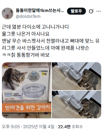 다이소에-고양이,-강아지-물그릇-나온거-알고-계시나요....-0-이미지