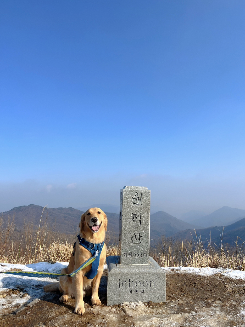 울강쥐-등산천재야-(+-산-추가!)-1-이미지