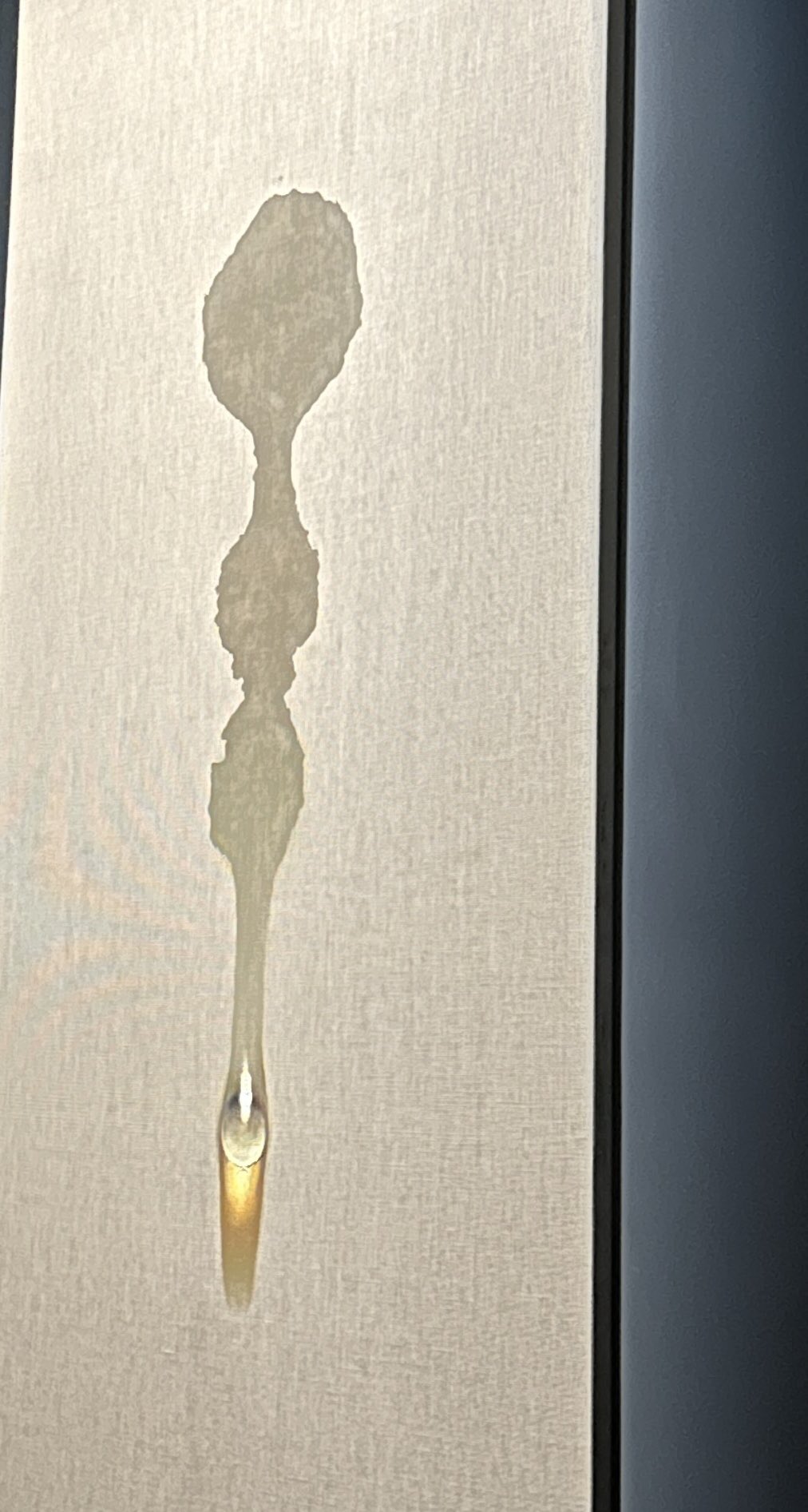 국립현대미술관-지금-김창열-선생님-때문에-누수로-난리남.twt-1-이미지