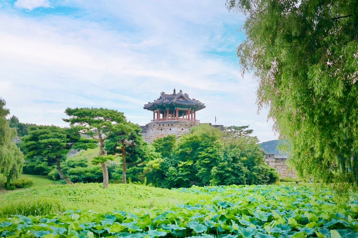 이-계정-운영자님은-진짜-직업-잘-고르신-거-같음-한국에-이런-데가-있다고-짤을-주머니에서-마구-꺼냄-31-이미지