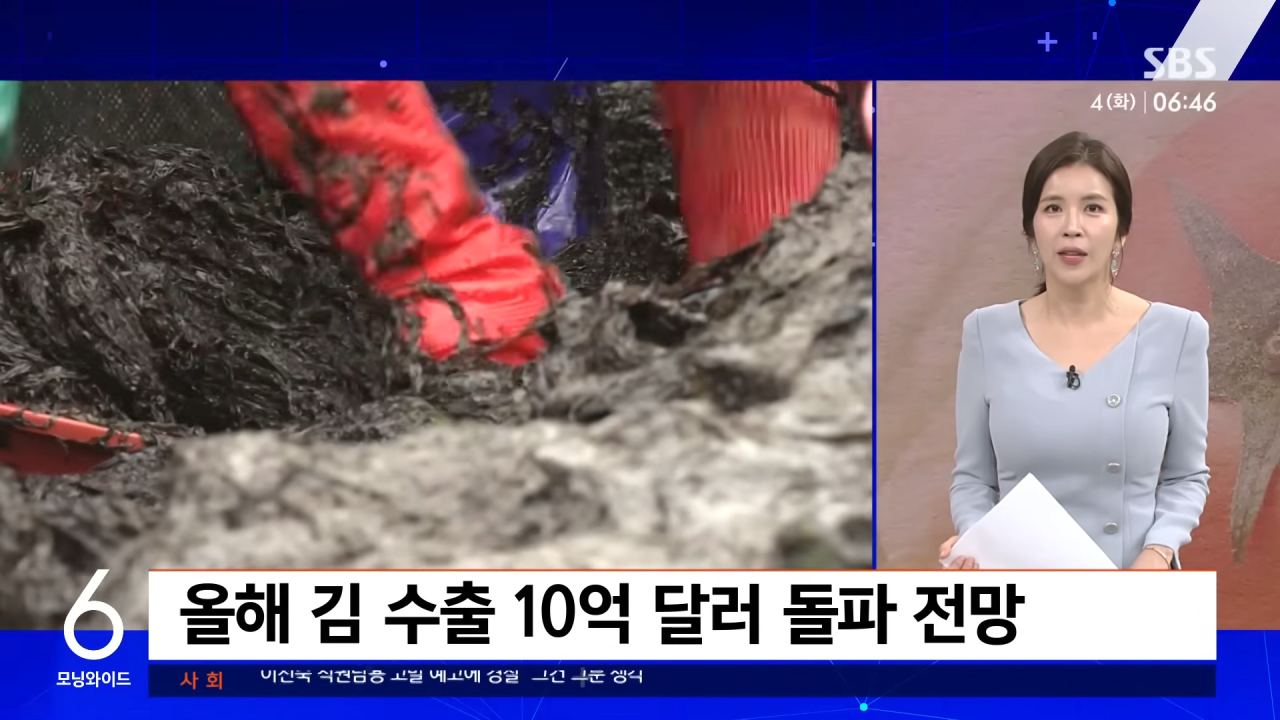 한국-김-수출-근황.jpg-4-이미지