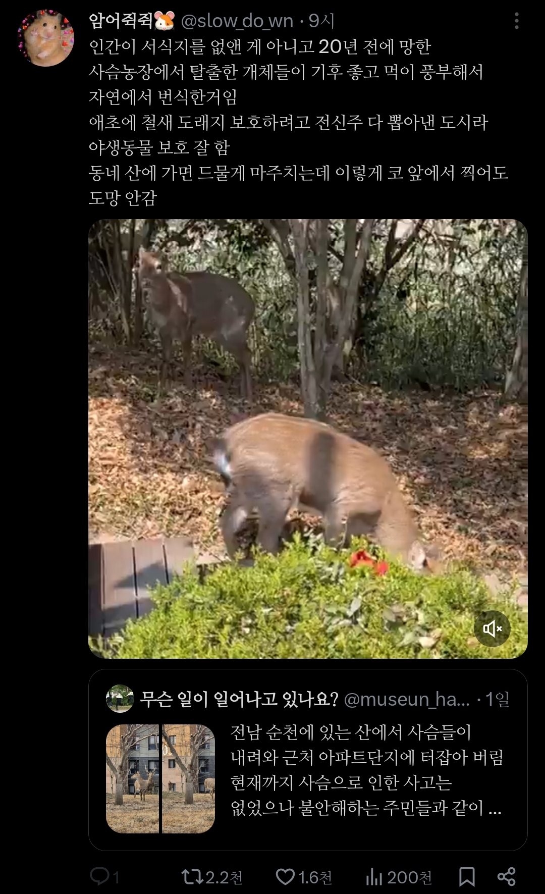 좋은-일을-해서-축복-받은-듯한-도시.jpg-17-이미지