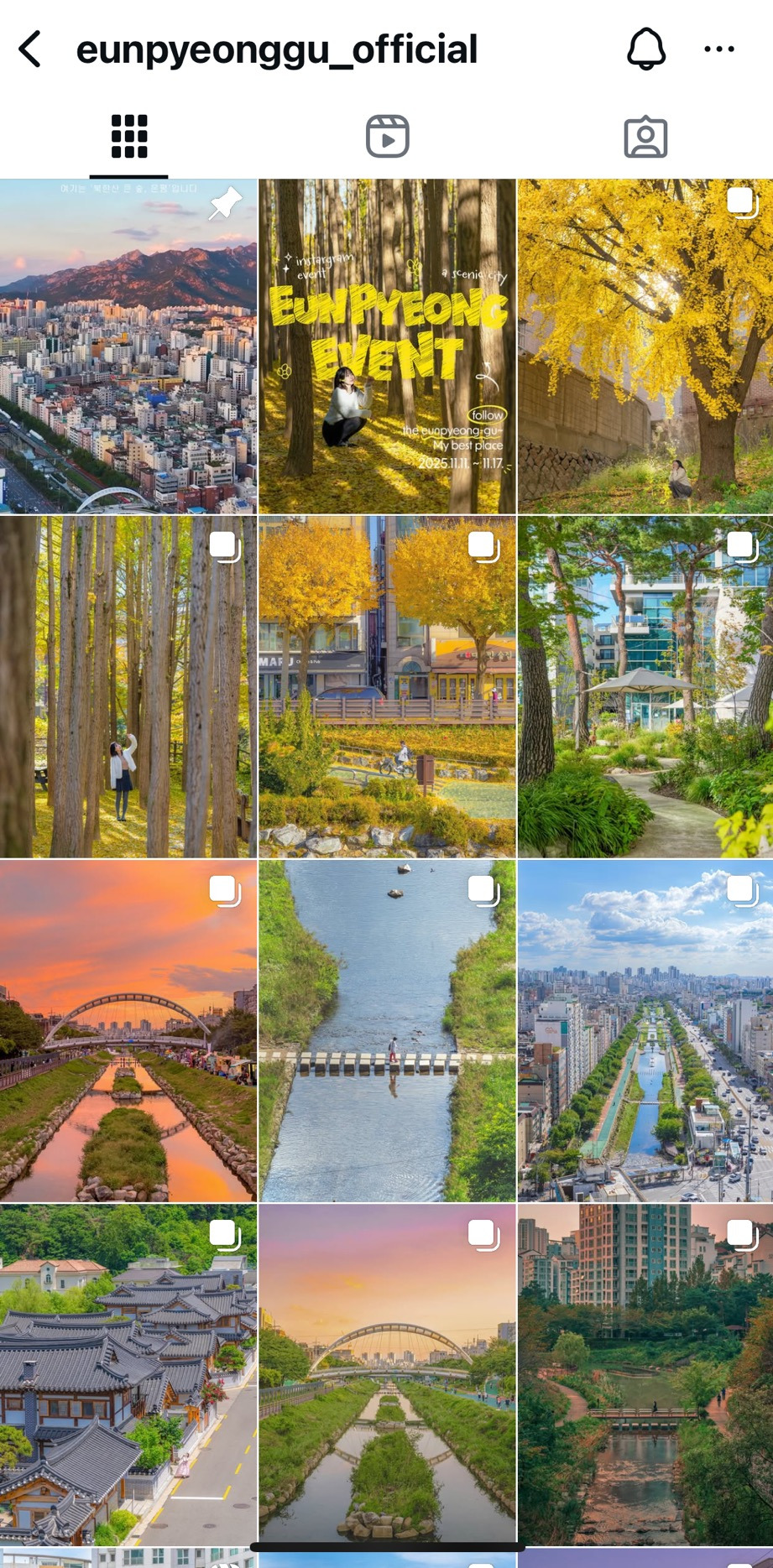 은평구-인스타-공식계정-느좋-0-이미지