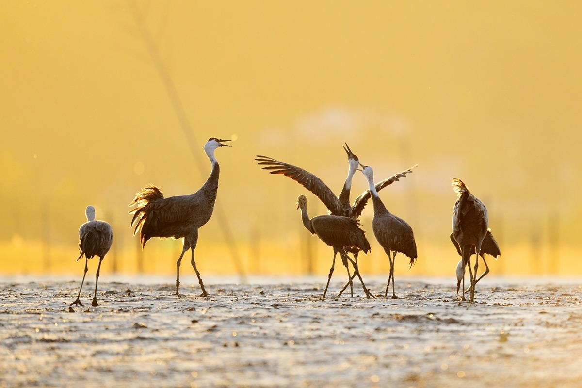 좋은-일을-해서-축복-받은-듯한-도시.jpg-9-이미지