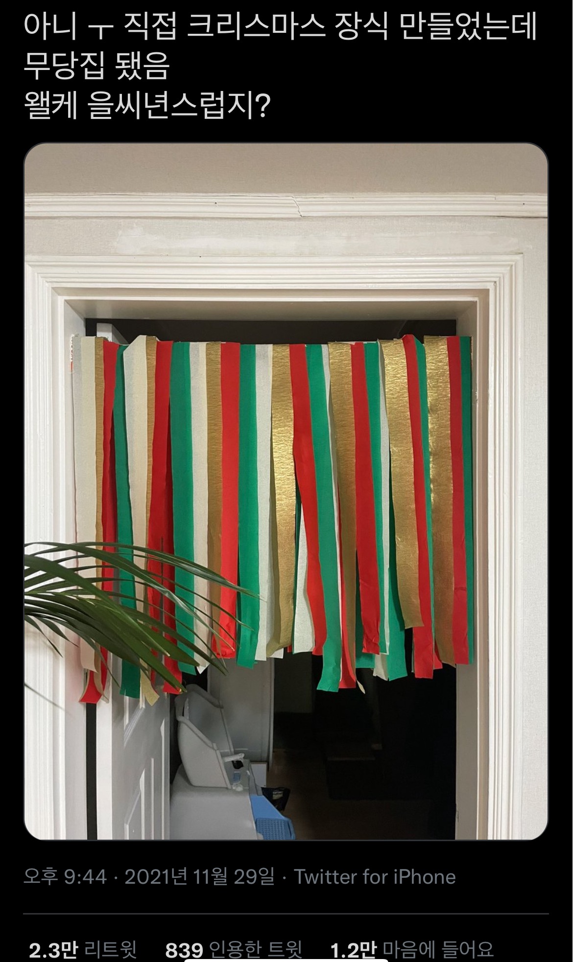 아니-ㅜ-직접-크리스마스-장식-만들었는데...twt-0-이미지