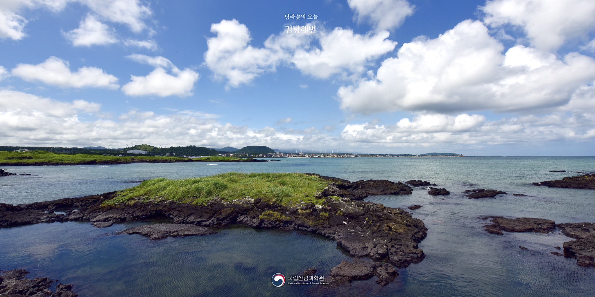 제주도에만-있는-독특한-이사-문화-2-이미지