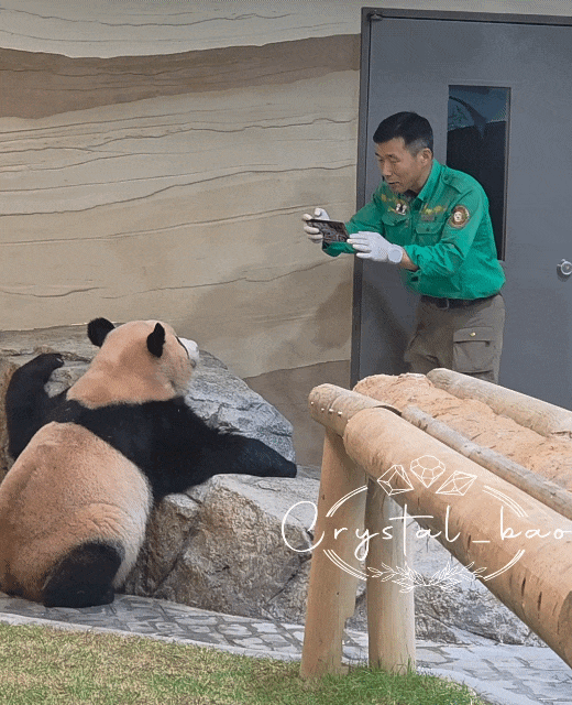 미끄럼틀-즐기는-루이바오-🐼-19-이미지