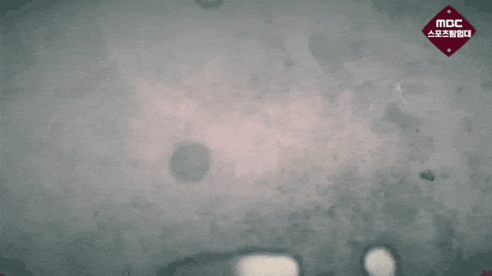 2022-카타르-월드컵-당시-선발-라인업-11-이미지