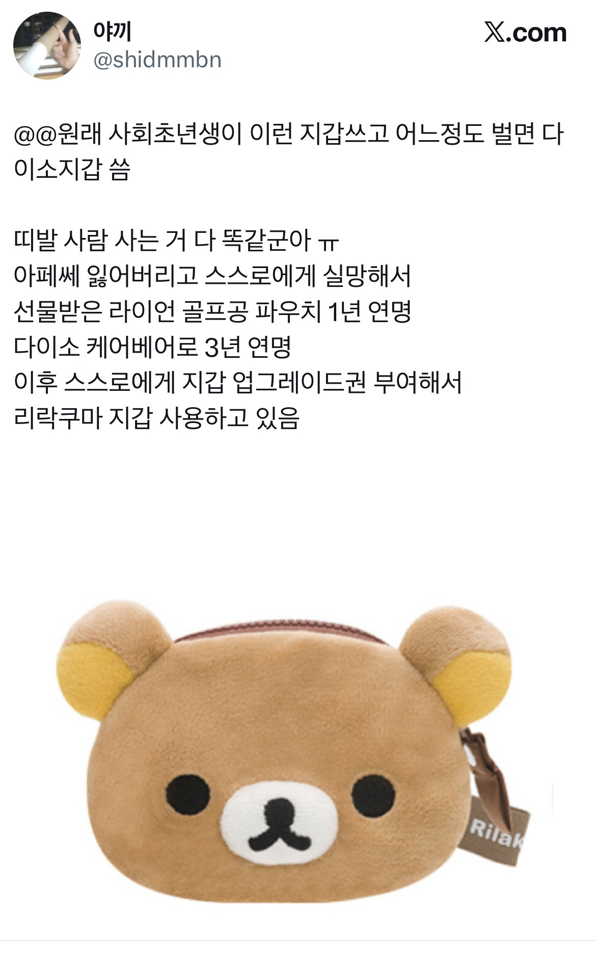 원래-사회초년생이-이런-지갑쓰고-어느정도-벌면-다이소지갑-씀.twt-1-이미지