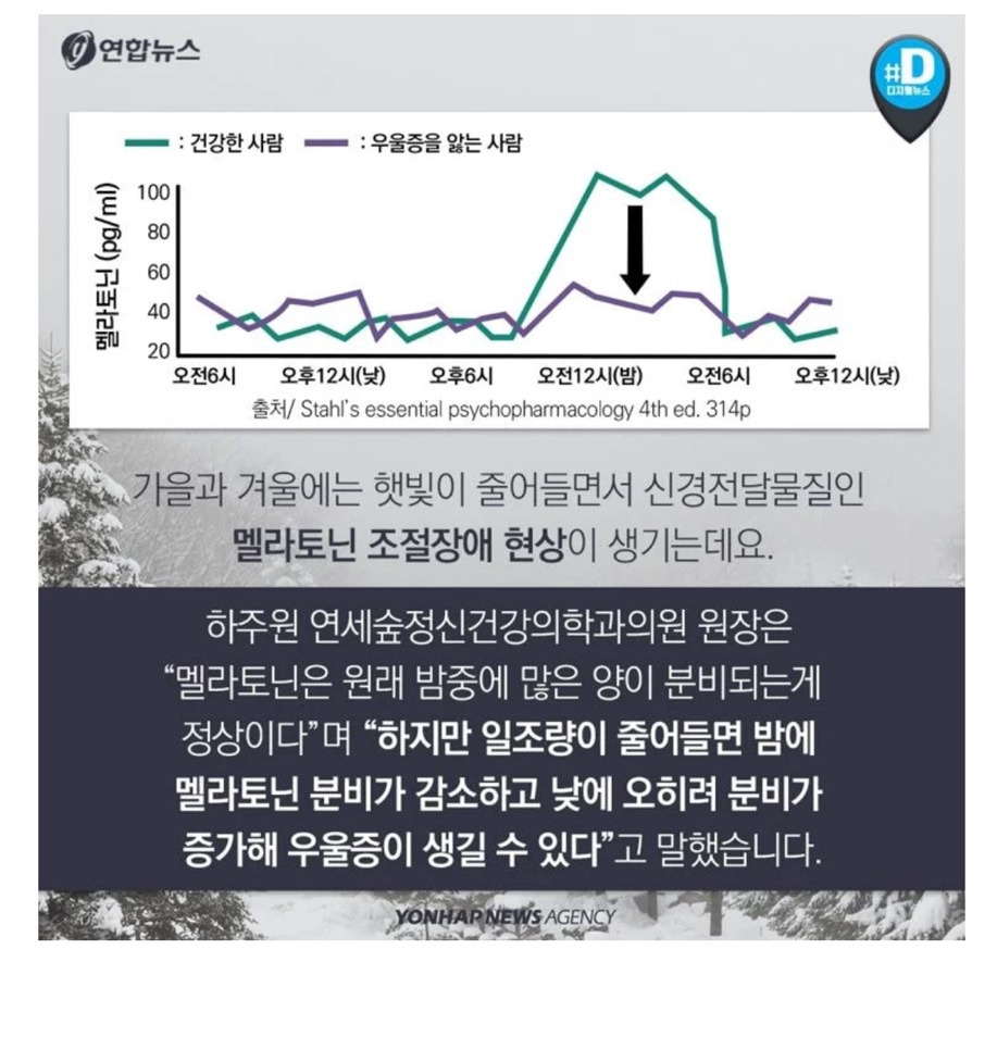 [더쿠]-겨울에-제일-심해진다는-계절성-우울증.jpg-2-이미지