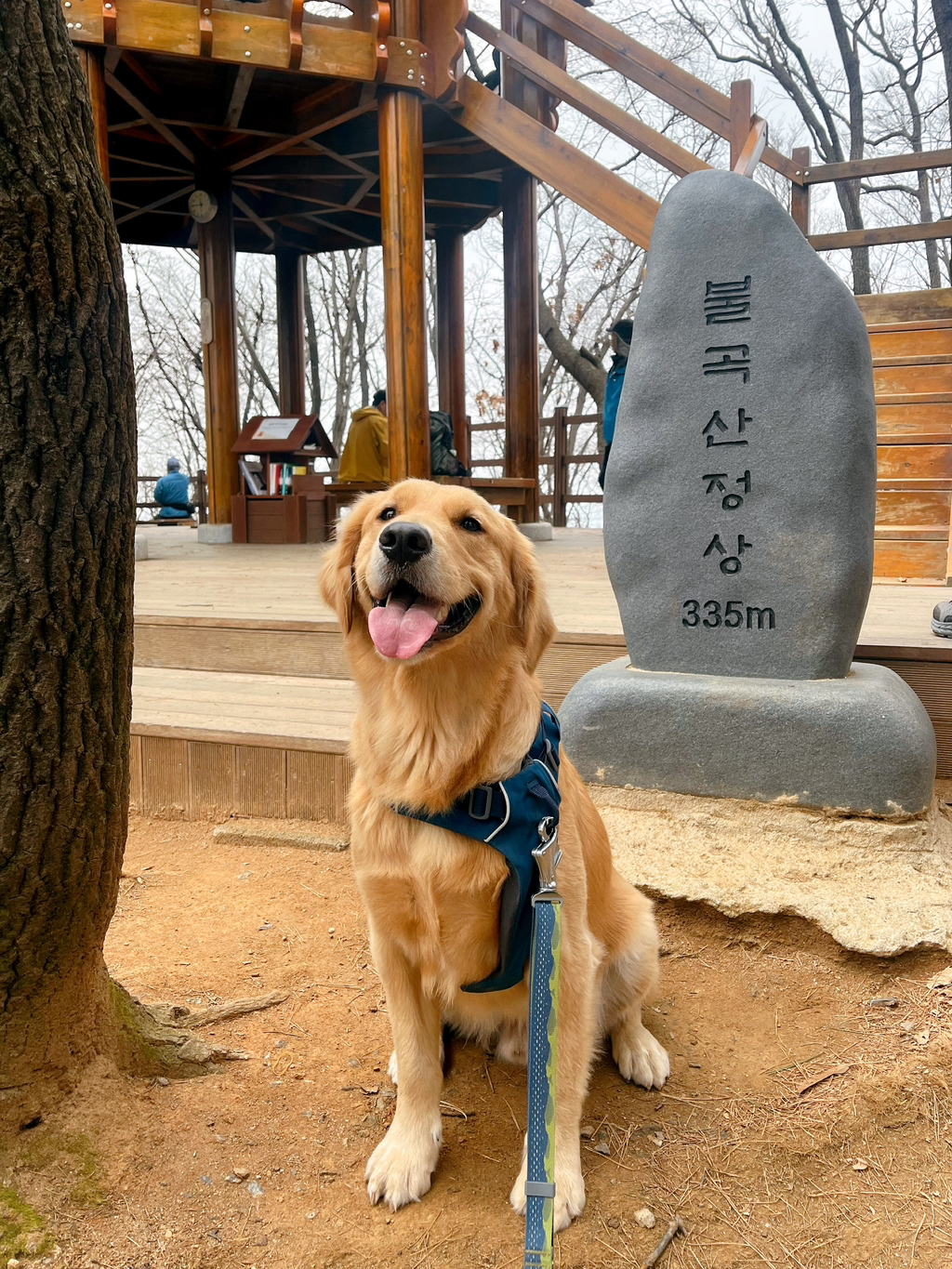 울강쥐-등산천재야-(+-산-추가!)-14-이미지